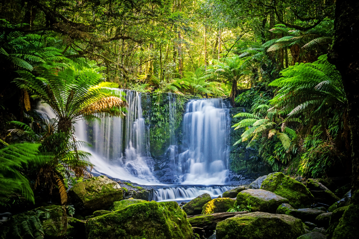 Puzzle Paisaje en Tasmania